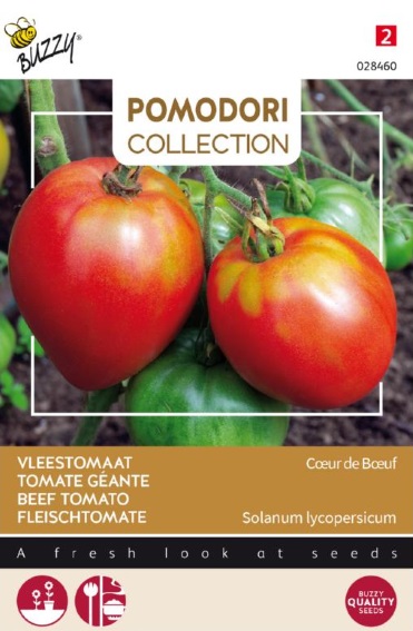 Tomato Oxheart (Solanum lycopersicum) 300 seeds BU